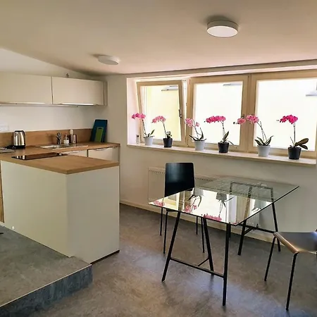 Cozy Luxury In The Center Lejlighed