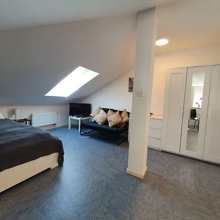Cozy Luxury In The Center Lejlighed Plzeň